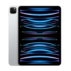 11-Inch iPad Pro WiFi 256GB 4th Gen